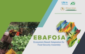 EBAFOSA Vision &amp; Mission